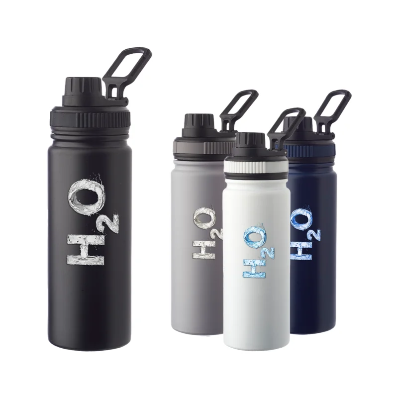 23 oz Houston Stainless Steel Water Bottle with Carrying Handle